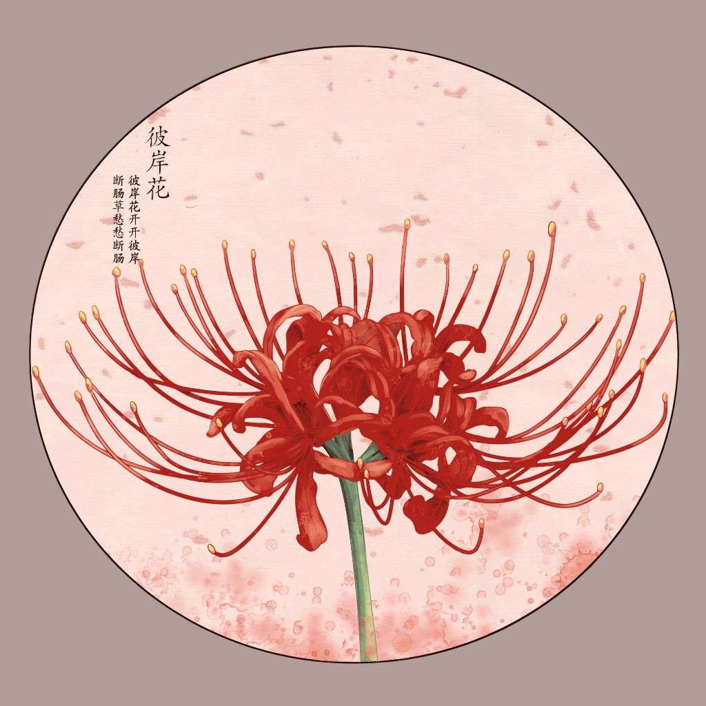 轻歌