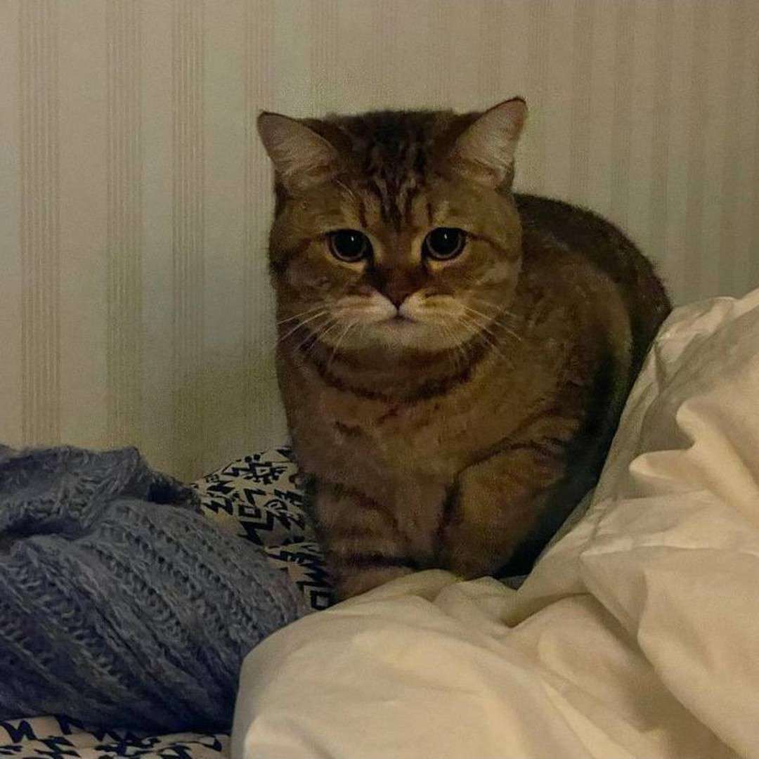 CONFUSED的专辑