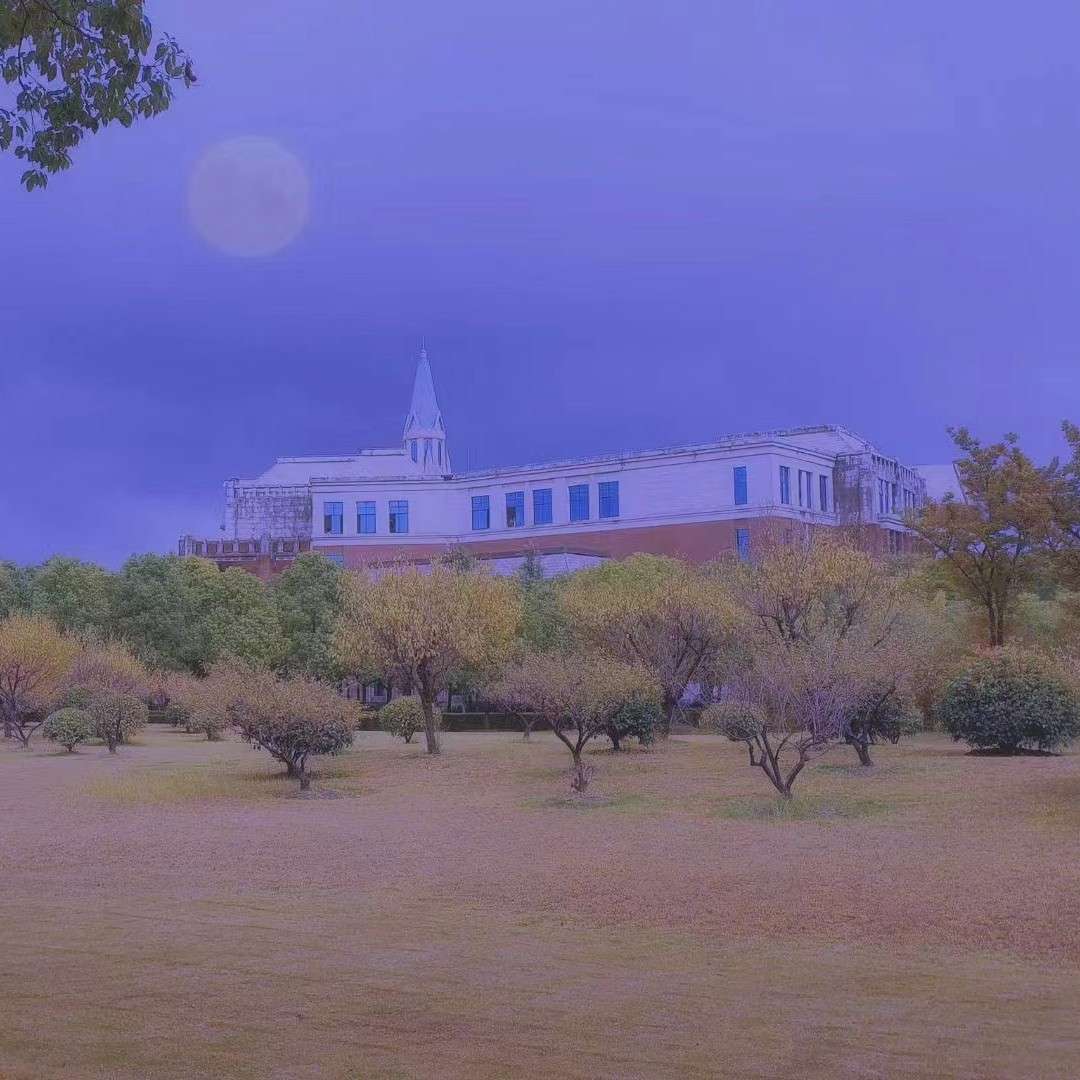 些些