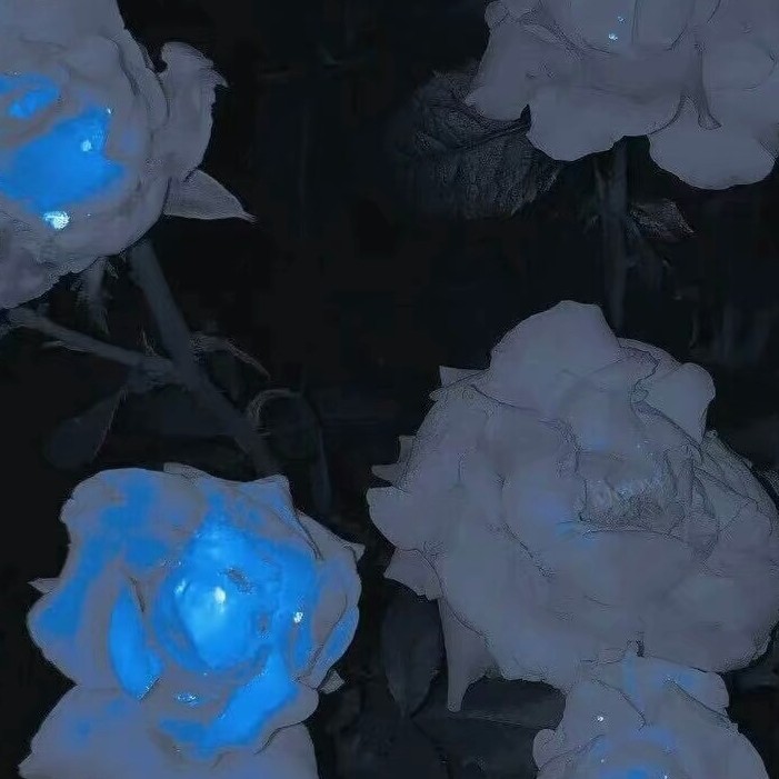 人生再美，不过鲸落...
