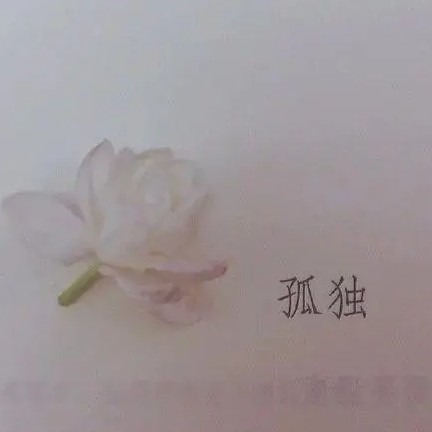 诗词