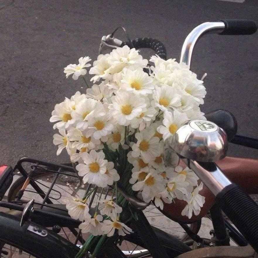 小小熊