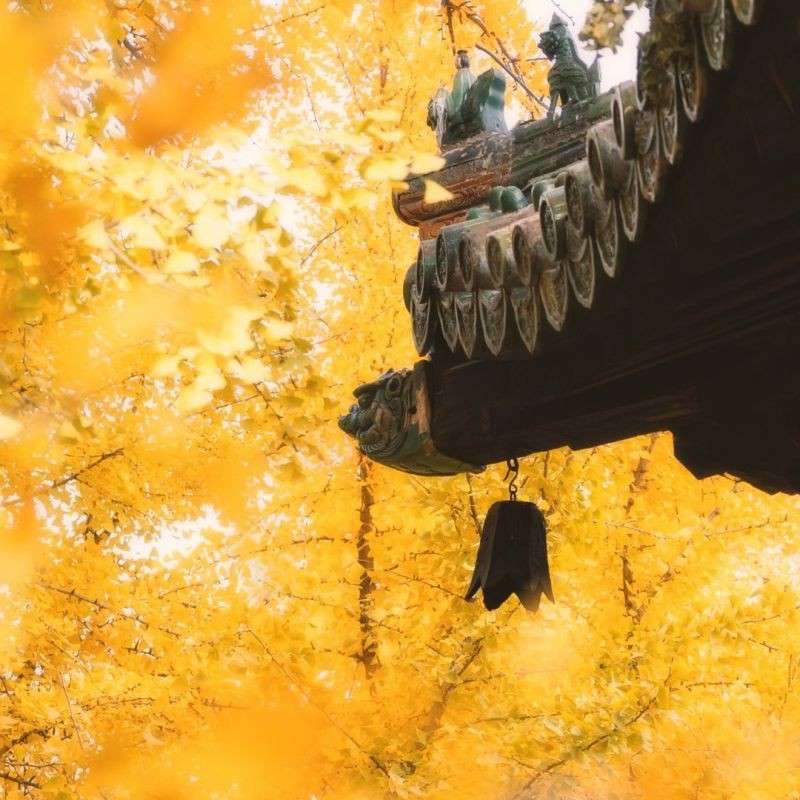 喜欢