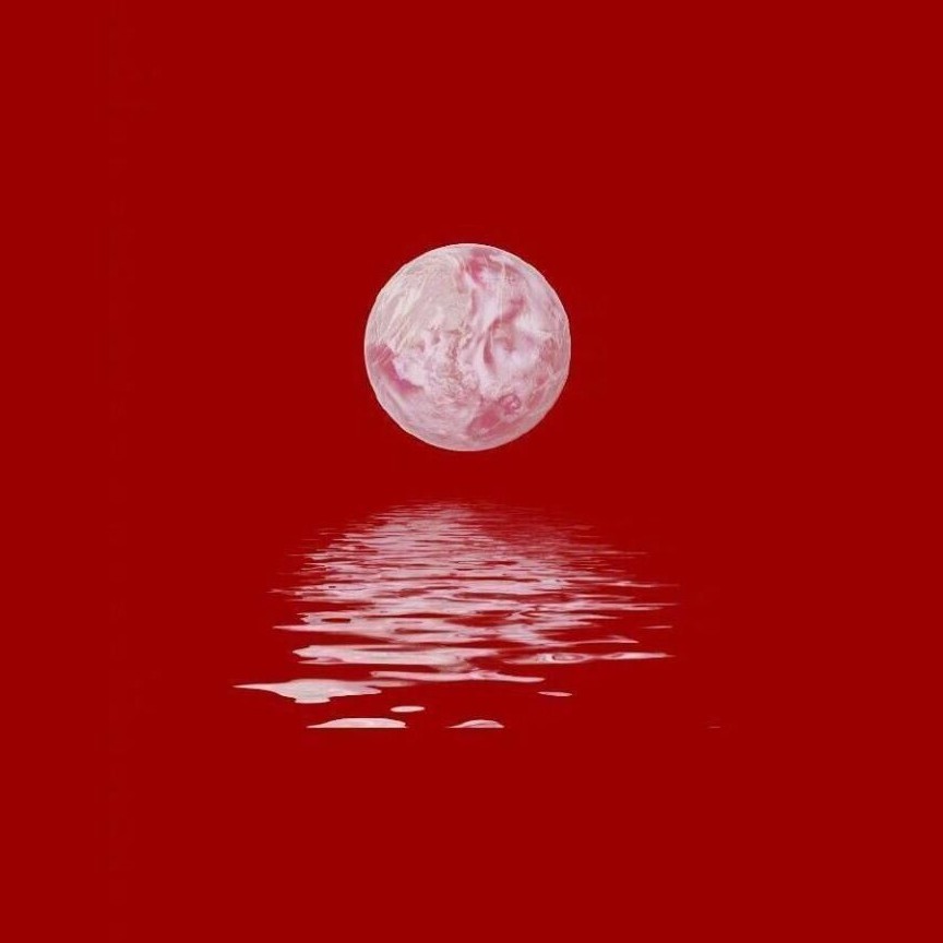 一碗鸡汤
