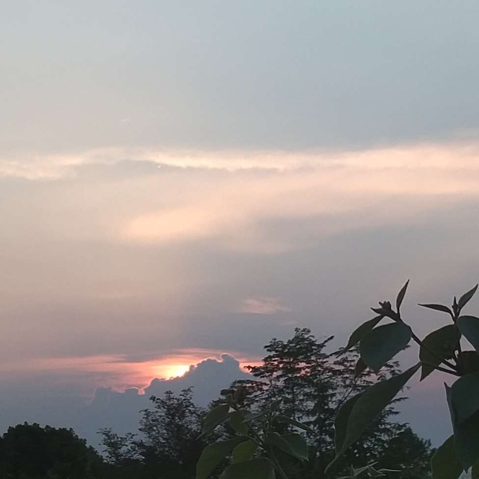 浪漫～