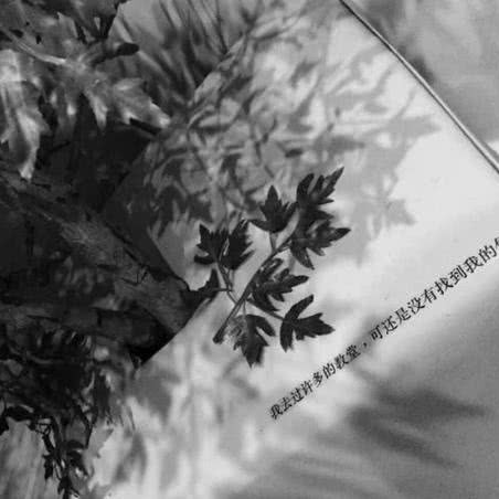 抑郁文案