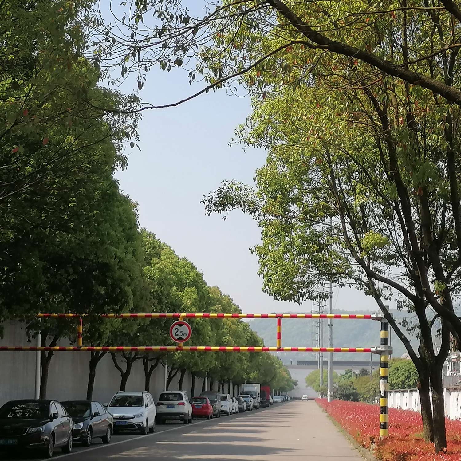 每天必读：