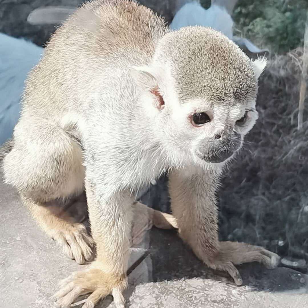 我