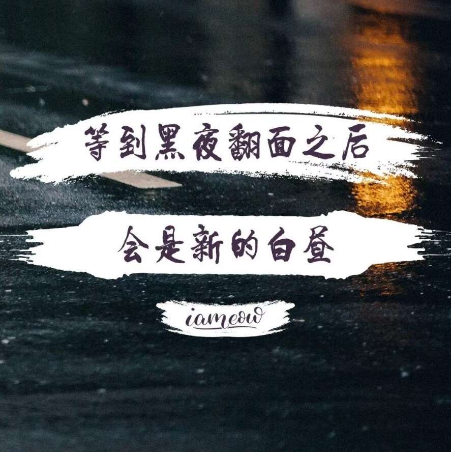 ᵕ᷄≀ ̠ᵕ᷅MꦿོY࿐的专辑