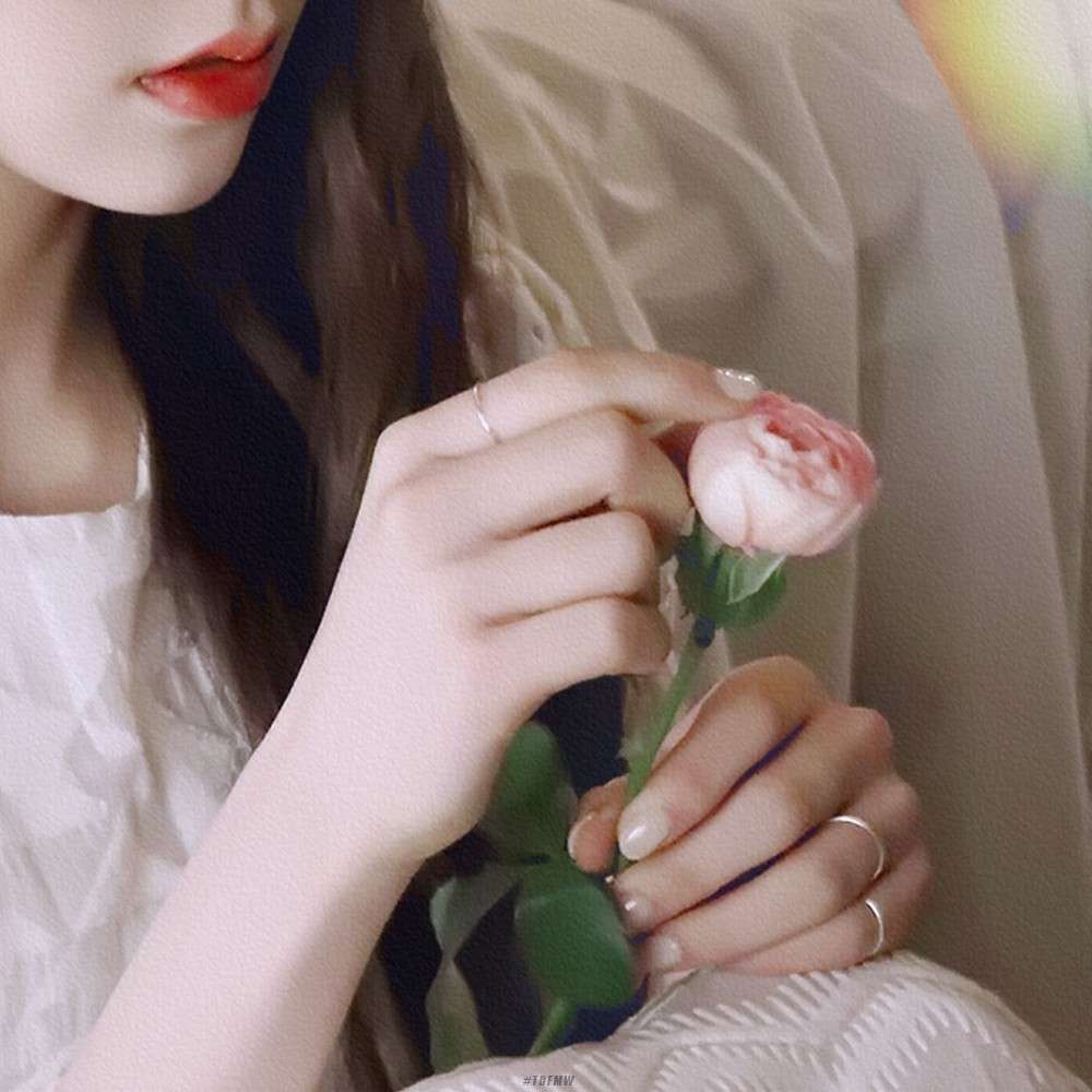 白日梦集