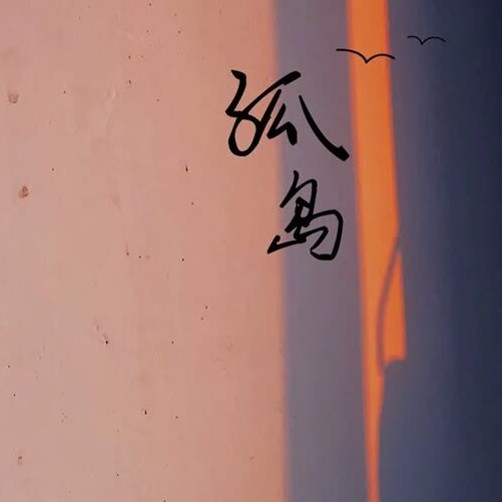 孤岛集