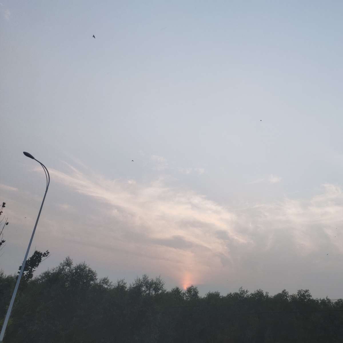 作文素材