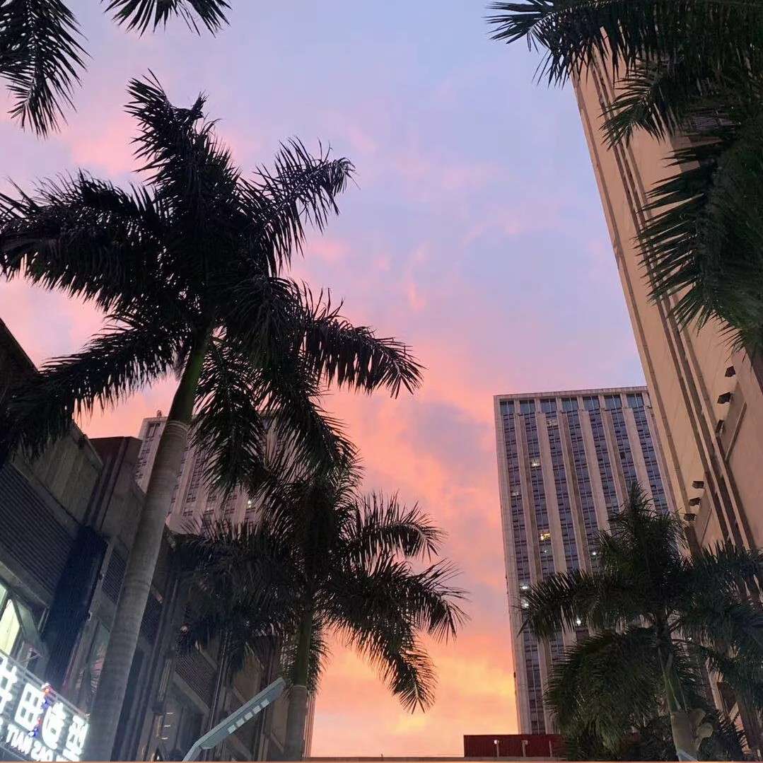 張國榮的专辑