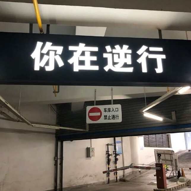 将来