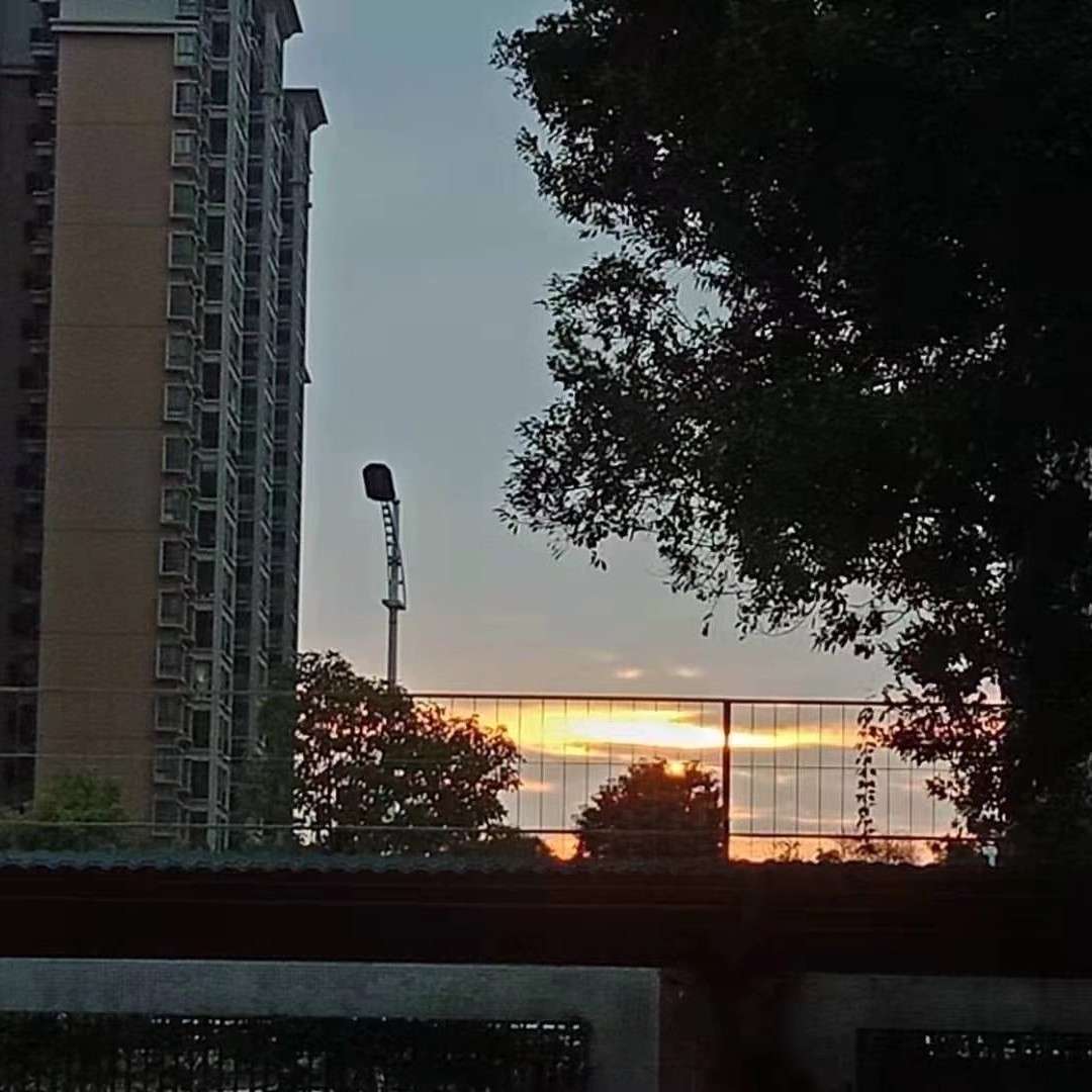 我的感悟