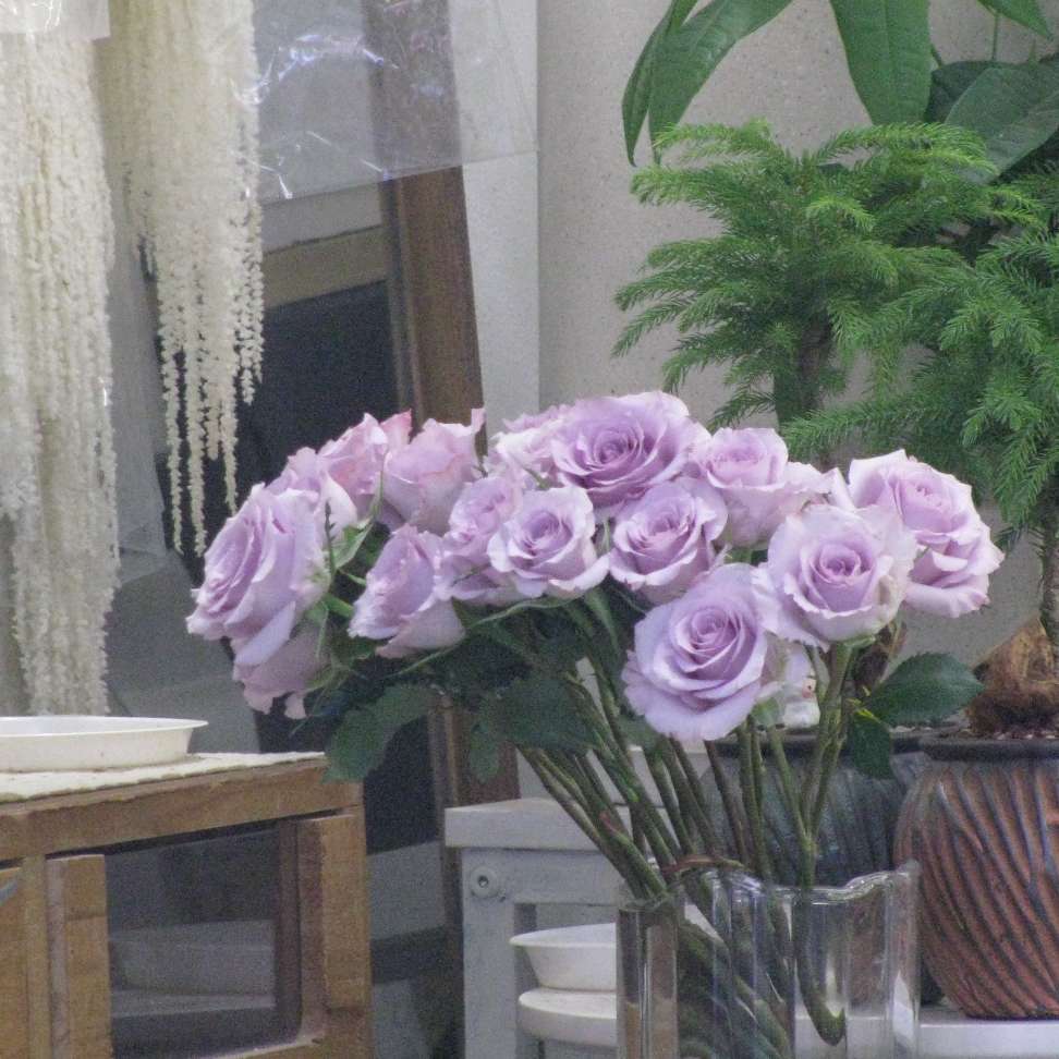 默认专辑