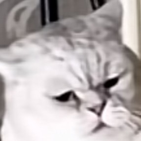 文案