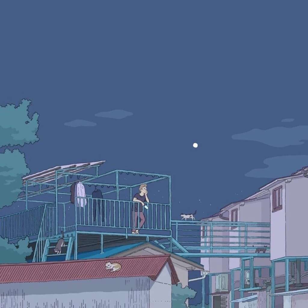 第二杯