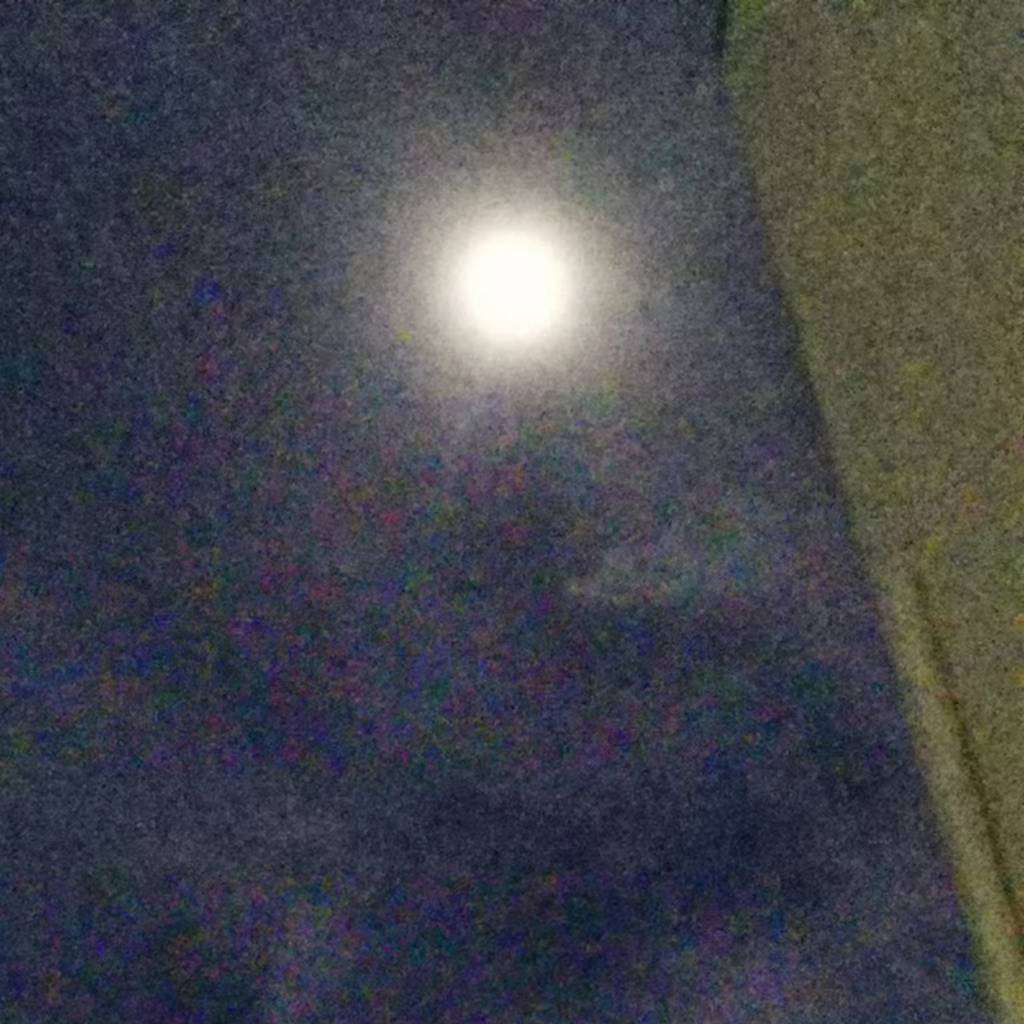 飞鸟集
