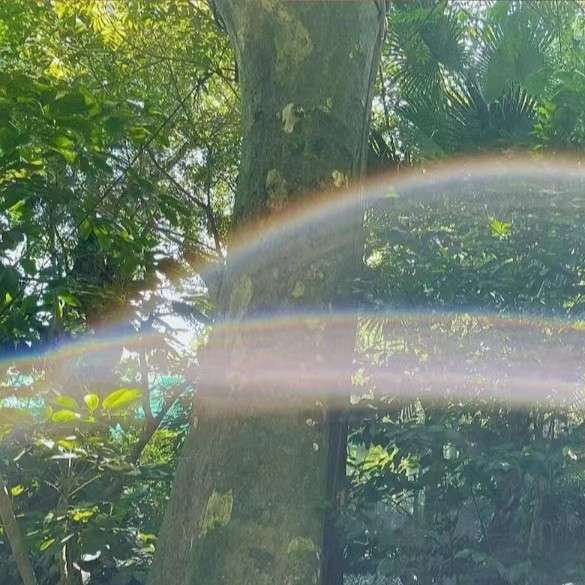 雨啊雨(｢･ω･)｢嘿