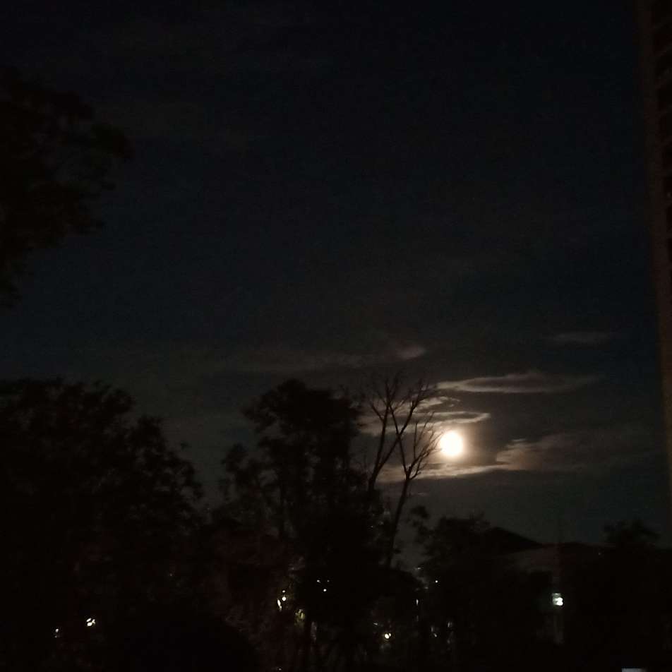 鲸落