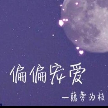 偏偏宠爱