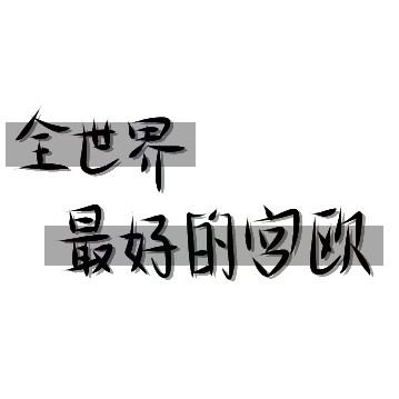 总裁在上