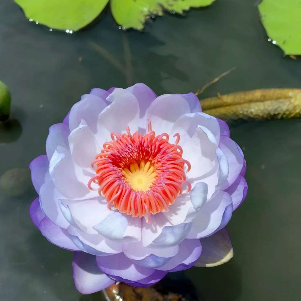 感悟诗词