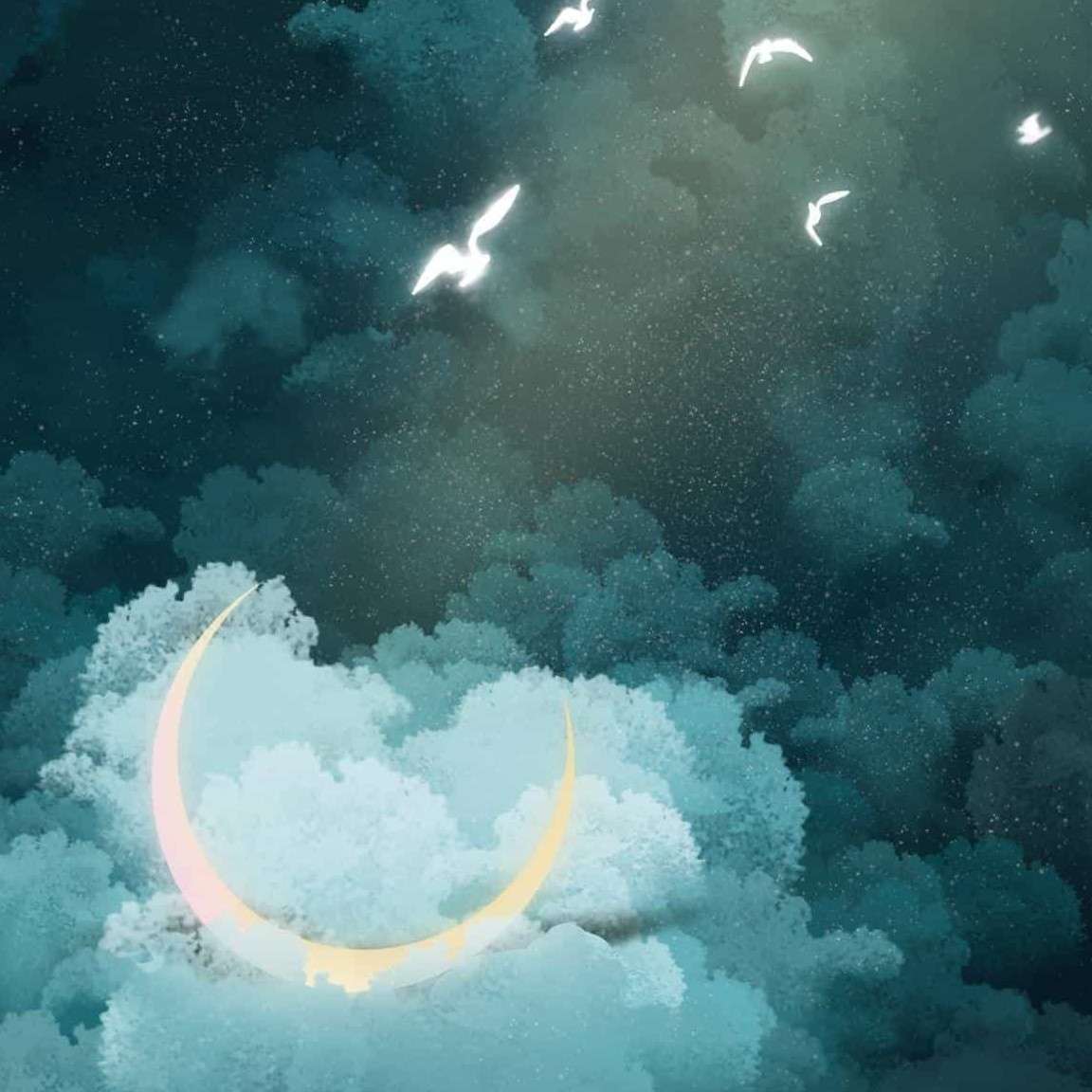 不过是否的专辑