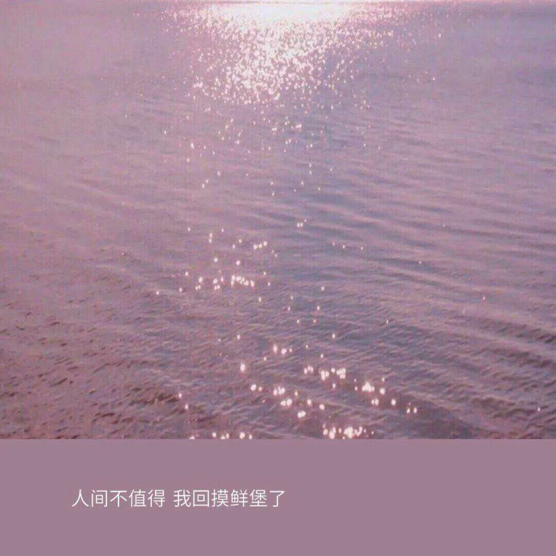 白日梦我