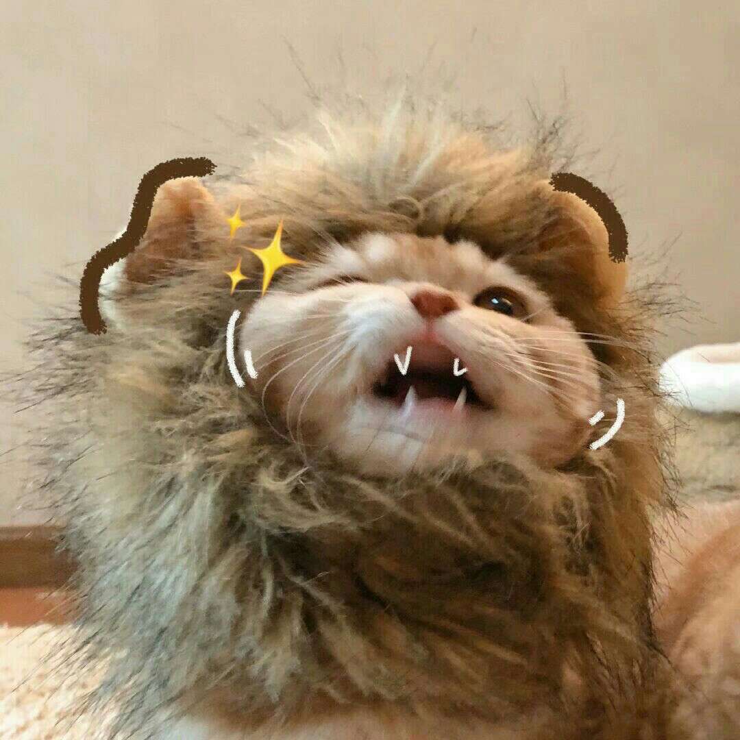 莹桑的专辑