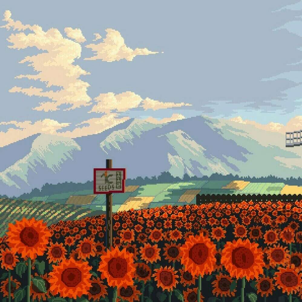 春花秋实