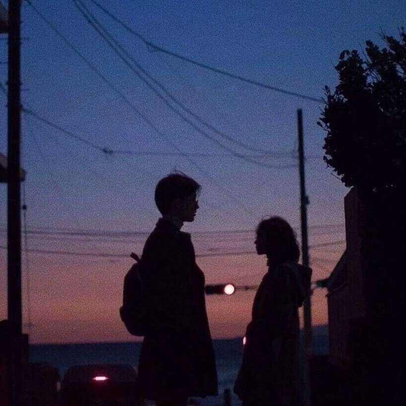 青春的花路