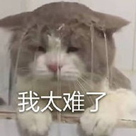 漂亮