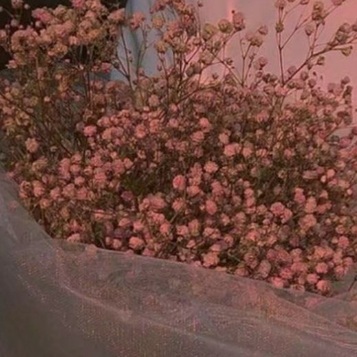 真实的水瓶座