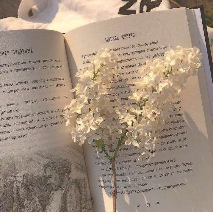 小说