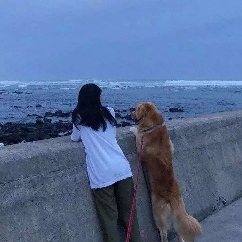 《撩人情话》