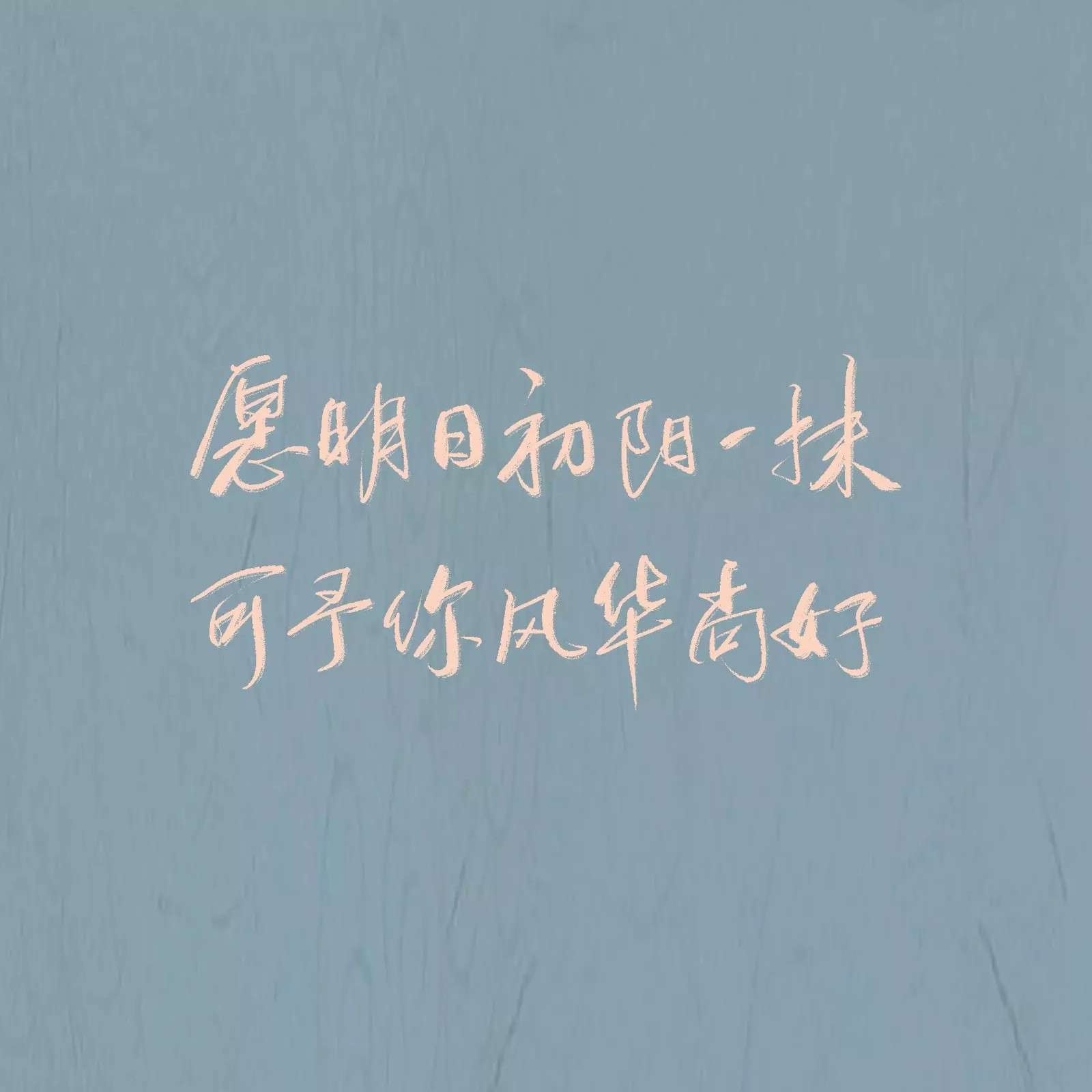 T诗语T的专辑