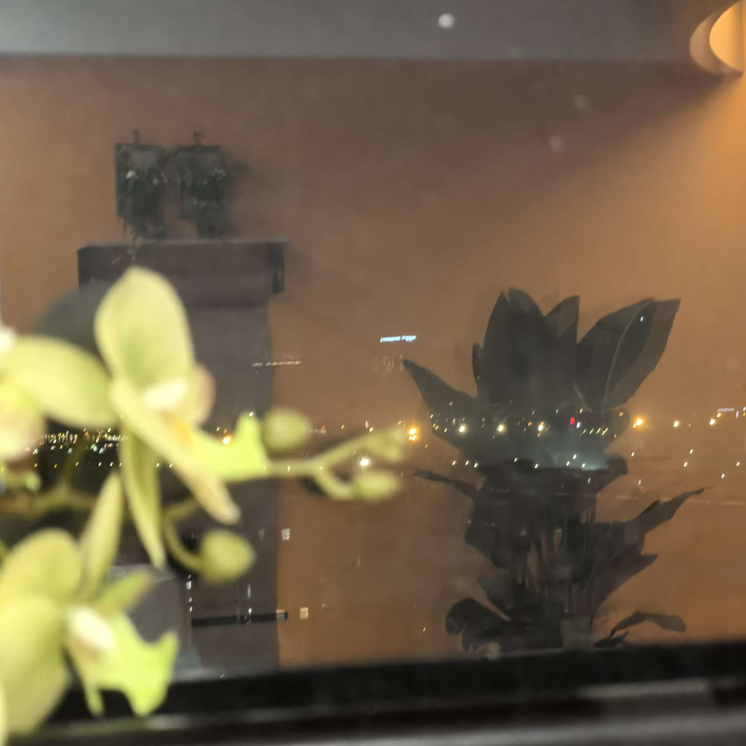 亲爱的你在哪