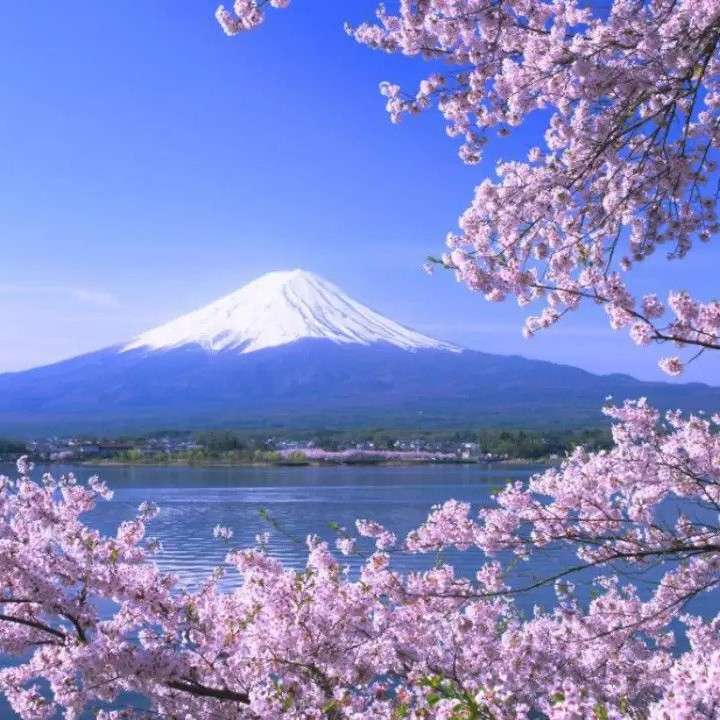 日本文学