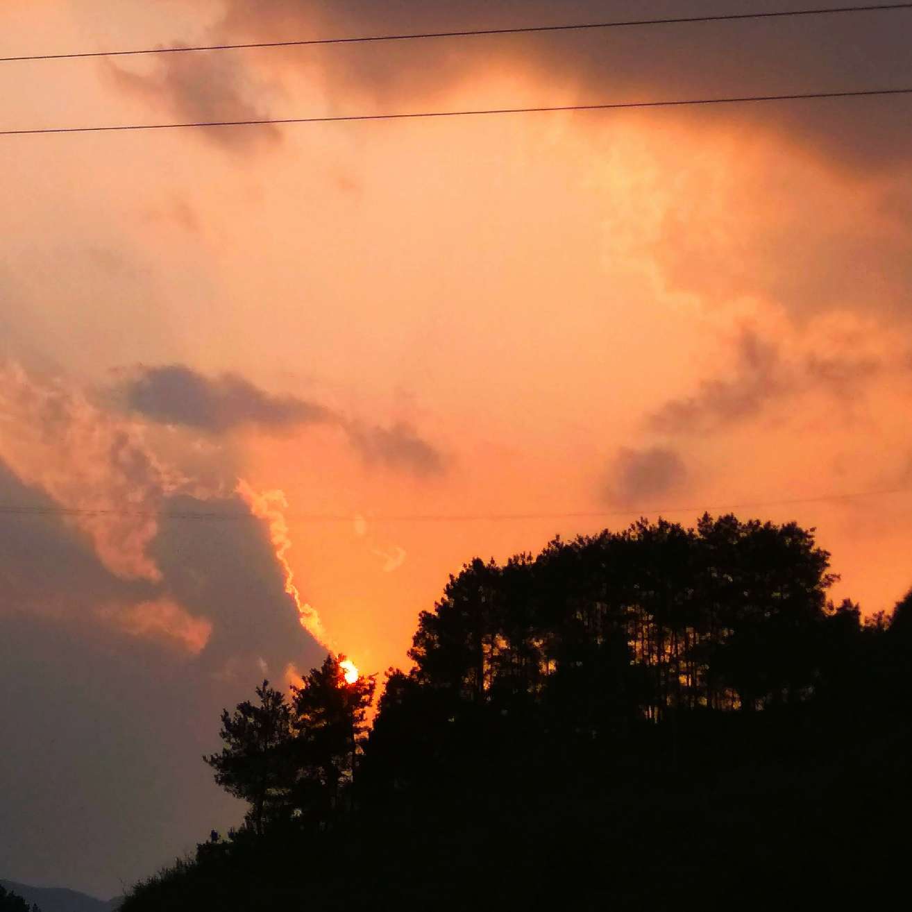 夕阳