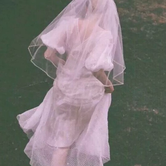 小说摘录