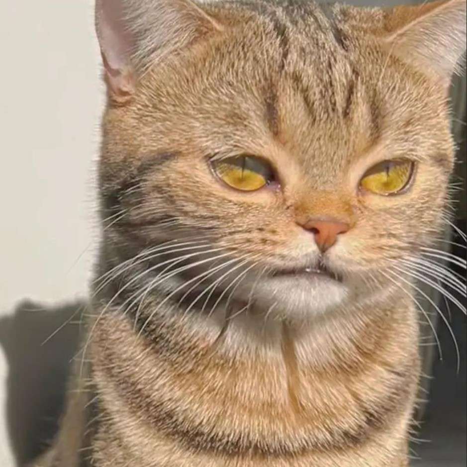 前程似锦