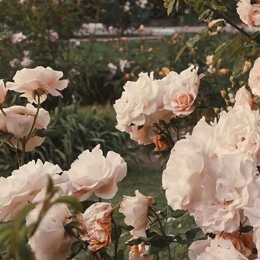 励志句子