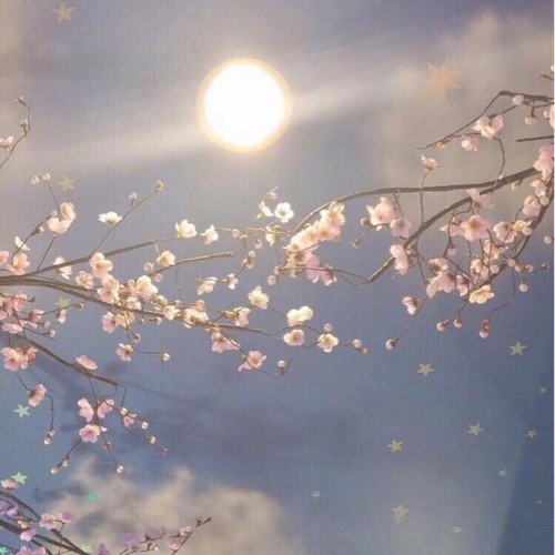 Qixi_的专辑