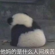 你的现实