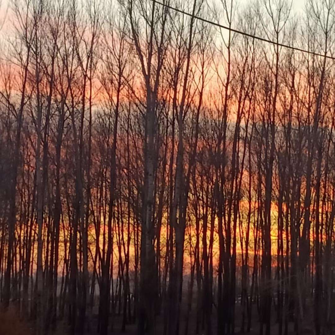 守护