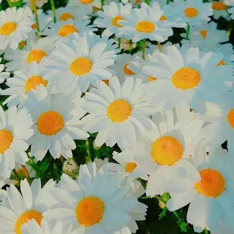未来定会更好