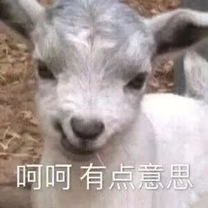 开心点