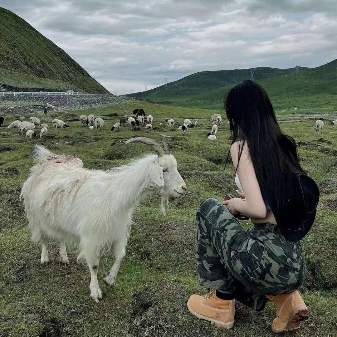 句子收录